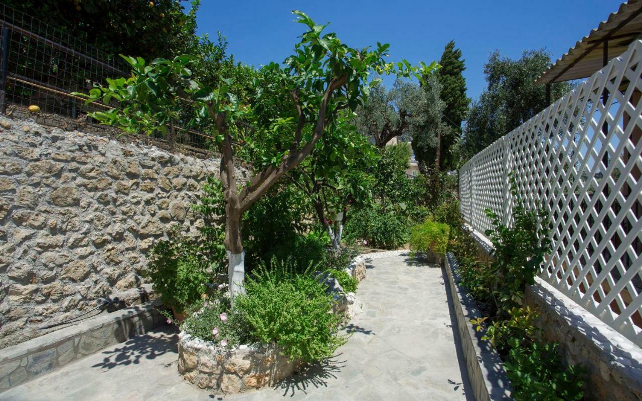 Thalassa Studios Paleokastritsa Exterior foto